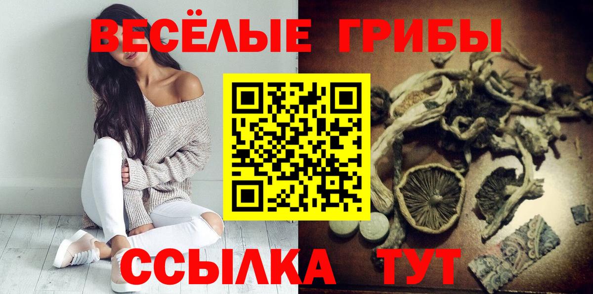Кызыл  Псилоцибиновые грибы GOLDEN TEACHER  Вход с VPN 